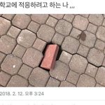 [댓글부탁해] 야 내가 며칠 전에