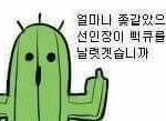 와미쳤나봐 <b>배</b> <b>개</b>아픔