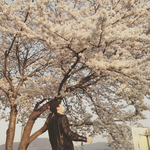 [EXO] 망해써....