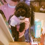 [EXO] 미쳐따 토베니 갱쥐 <b>you</b>치원 다닌대ㅠㅠㅠㅠㅠ