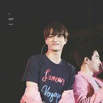 [EXO] 내가 좋아하는 <b>김종인</b> 곰사진