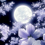 [댓글부탁해] 이 정도면 가방 잘 싼거야?