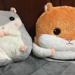 이거 가져가면 <b>관종</b>같니?