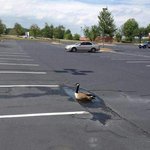 아이돌들 립싱크 그만좀해라...