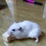 남자쌤들이 다남자로보여