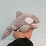 [이름지어죠] 얘 이름 좀 지어주라