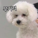 [드루와] 다들 자기가 다니는 중,고등학교 적고강...