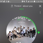 [세븐틴] 캐로시들!
