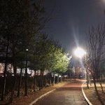 [댓글부탁해] ㅈㅂ 얘한태 물어볼까 말까 추반좀