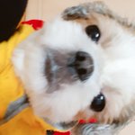 [댓글부탁해] 너네 얼굴 <b>장단점</b> 쓰고가셈