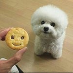 급식 순서대로 앉아서 먹지않아?