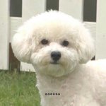 [EXO] 아나진짜예지몽인가보ㅏ ㅋㅋㅋㅋ