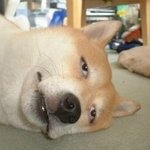 <b>이대로</b> 눈을 감으면