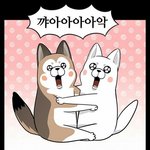 [댓글부탁해] 우리학교 졸업식에 <b>정채</b>연 왔었는데