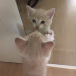 [드루와] 얘드라 오늘 첫날인데 다들 어땠오?