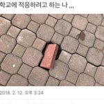 친구사귀었는데 <b>홀수</b>야...내가떨궈질거같은데어떡해