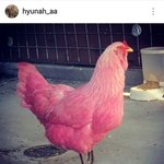 [드루와] 나 전학왔는데 반배정 개잘된듯