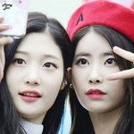 이사진 누가더예쁘냐