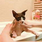 [위너] 어제오늘 너무 지쳤음