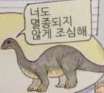 [댓글부탁해] +)나만 연예인들 일본가는거 너무 싫어??
