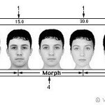 남성적 외모, <b>여성적</b> 외모 차이