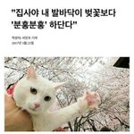 니네 지금 스타킹 뭐신고다녀???