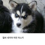 [드루와] 얘들아 그 <b>떡국</b>떡떡볶이 꿀팁주라