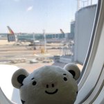 롱패딩어디꺼냐