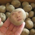 [댓글부탁해] <b>미백</b>크림 추천좀