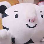 스터디 플래너 <b>구성</b> 좋은거 추천좀 ㅠㅠㅠ