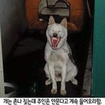 짝사랑 제일<b>비참</b>할때 써줘