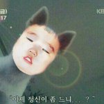 아 진심 같이 다니는 무리 개 쪽팔린다;;;;;;;;;