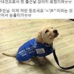 [댓글부탁해] 아니ㅋㅋ우리반에 <b>특수</b>반 두명이나 있음