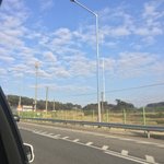 이거 <b>보정</b>한거 같아?