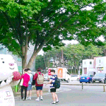 [모두드루와] 누가 더 흥할 것 같음? 추반 ㄱㄱ