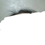 [댓글부탁해] 정수리에 <b>잡초</b>