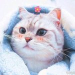 [드루와] 스포츠클럽 뭐할지 골라줘 사랑둥이들