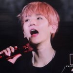 [EXO] 갠적으로 백현인 핑큥이 젤 <b>찰떡</b>인듯