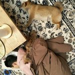 아이폰 8 <b>장단점</b> 알려줘 !!