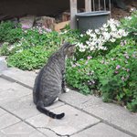 <b>식품</b>영양학과 가고싶은데 요리동아리ㄱㅊ???