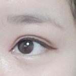 <b>아이라인</b> 고양이/강아지 추반좀