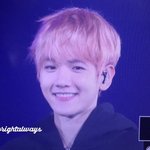 [EXO] 앙글뽀짝갓기큐트빔 <b>발사</b>