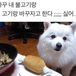 간장계란밥vs<b>참치</b>마요에그스크램블
