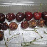 x마트에서 점포배송된 <b>체리</b> ㅎ
