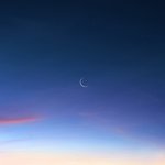 <b>롯리</b> 감튀vs맥날감튀