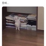 [댓글부탁해] 안자거나 일오난얘들앙 <b>오디</b>사는지 말하고 가장>< 궁금해서...