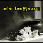 화제집중!! 화순에서 강제개종으로 <b>희생</b>된 구지인양 추모의 물결 흐르다