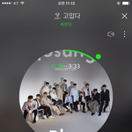 [세븐틴] 우리 올해 한국활동