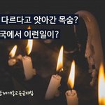 [꼭봐주세요] 故 구지인 양이 우리에게 남긴 숙제, 강제개종 금지법...