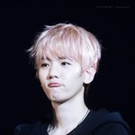[EXO] <b>핑크</b>큥  고화질